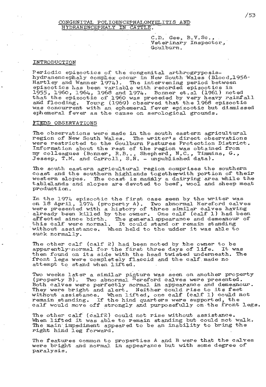 1975 page 53